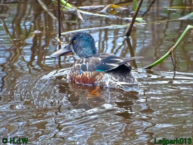 21 &amp; 22 &amp; 23 &amp; 24 juniari 2024