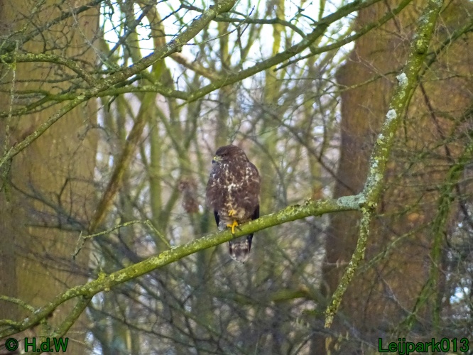 21 &amp; 22 &amp; 23 &amp; 24 juniari 2024