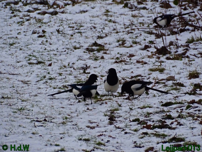 21 &amp; 22 &amp; 23 &amp; 24 juniari 2024