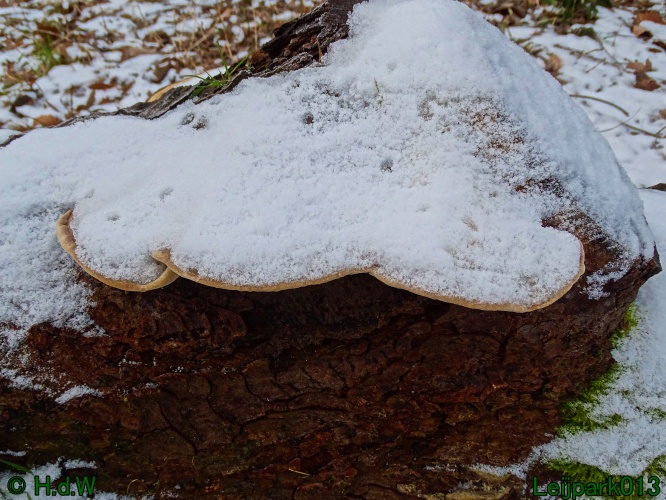 21 &amp; 22 &amp; 23 &amp; 24 juniari 2024