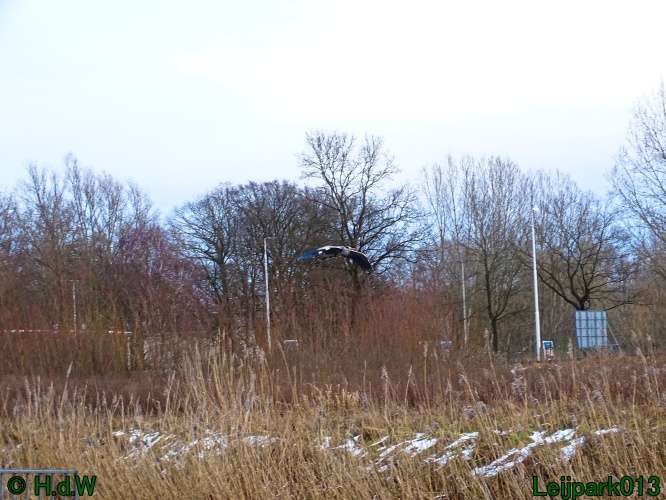 21 &amp; 22 &amp; 23 &amp; 24 juniari 2024