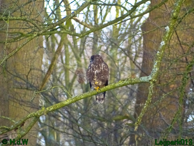 21 &amp; 22 &amp; 23 &amp; 24 juniari 2024