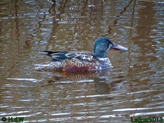 21 &amp; 22 &amp; 23 &amp; 24 juniari 2024