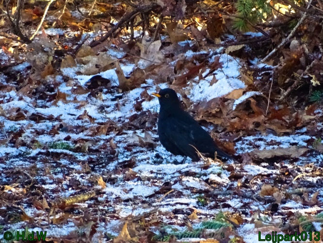 21 &amp; 22 &amp; 23 &amp; 24 juniari 2024