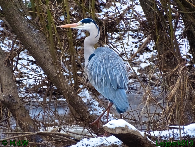 21 &amp; 22 &amp; 23 &amp; 24 juniari 2024