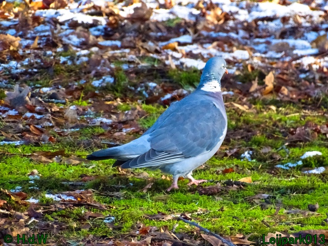 21 &amp; 22 &amp; 23 &amp; 24 juniari 2024