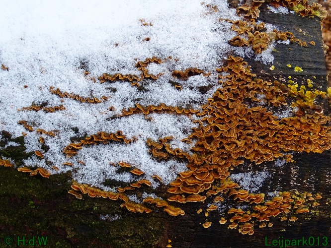 21 &amp; 22 &amp; 23 &amp; 24 juniari 2024