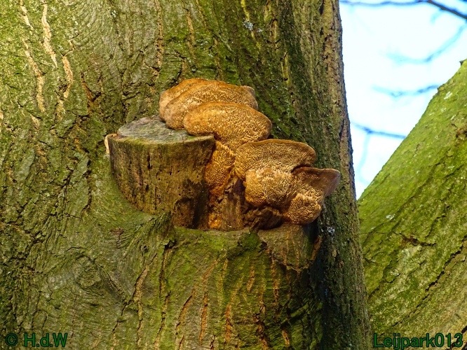 21 &amp; 22 &amp; 23 &amp; 24 juniari 2024