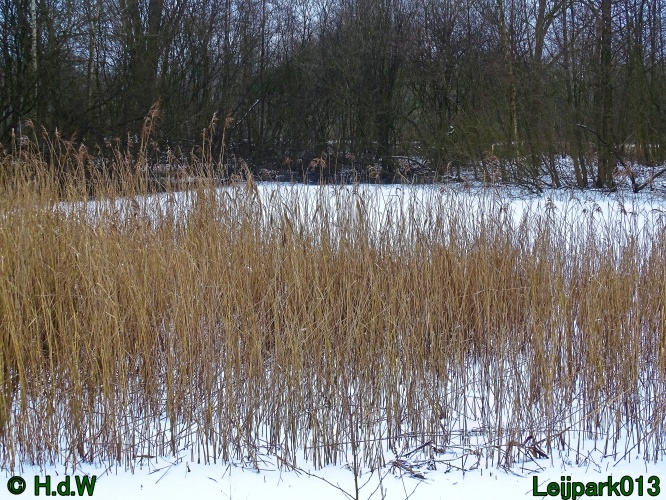 21 &amp; 22 &amp; 23 &amp; 24 juniari 2024