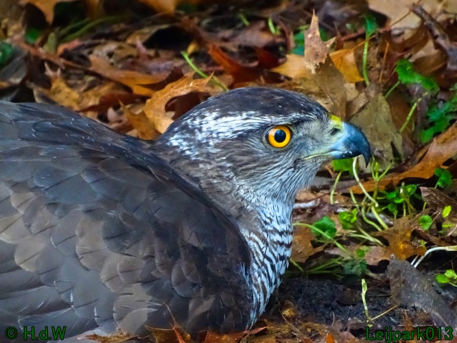 25 &amp; 26 &amp; 27 &amp;28 januari 2024