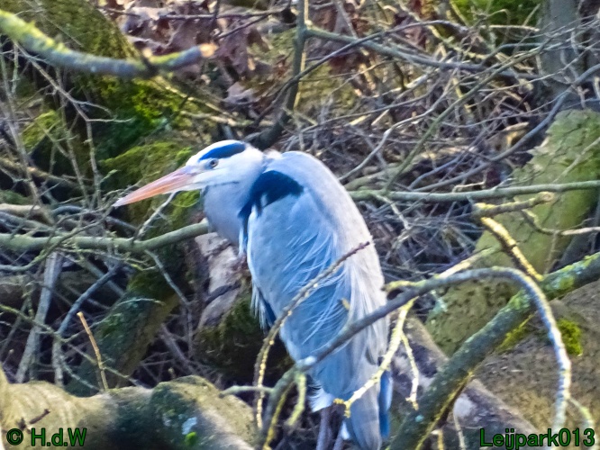 25 &amp; 26 &amp; 27 &amp;28 januari 2024