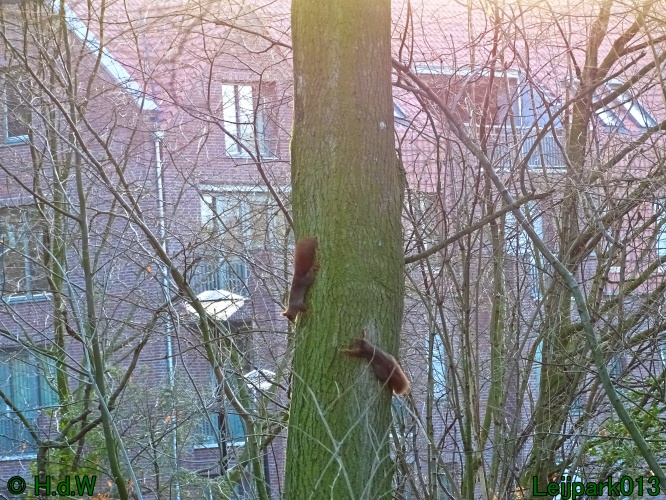 25 &amp; 26 &amp; 27 &amp;28 januari 2024