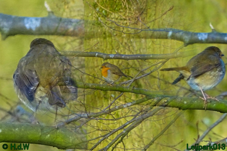 25 &amp; 26 &amp; 27 &amp;28 januari 2024