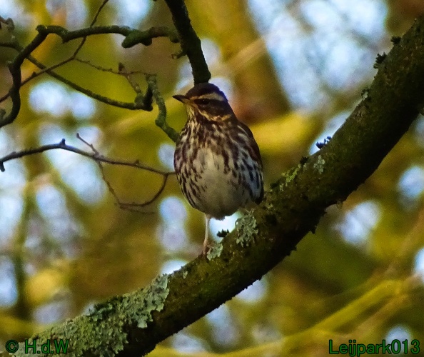 25 &amp; 26 &amp; 27 &amp;28 januari 2024