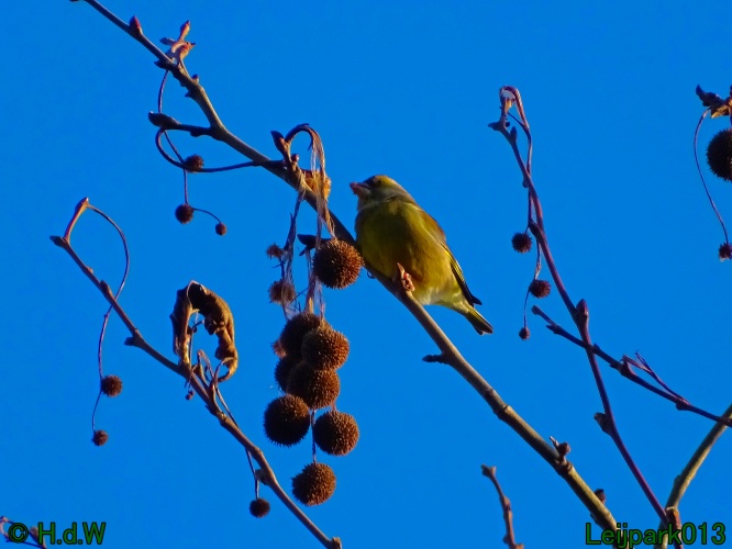 25 &amp; 26 &amp; 27 &amp;28 januari 2024