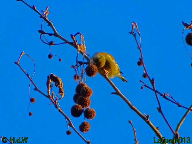 25 &amp; 26 &amp; 27 &amp;28 januari 2024