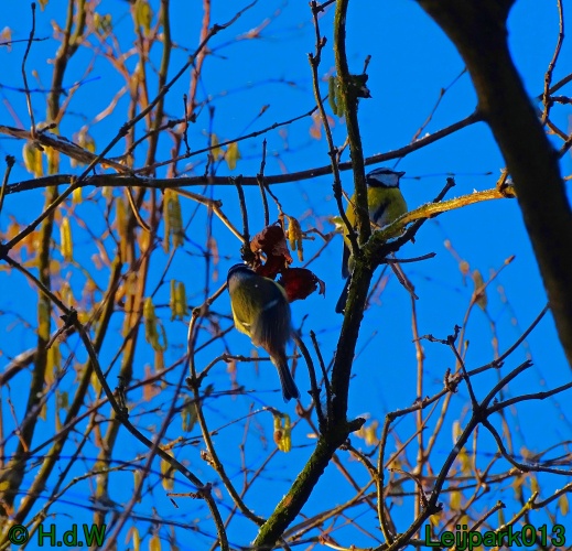 25 &amp; 26 &amp; 27 &amp;28 januari 2024