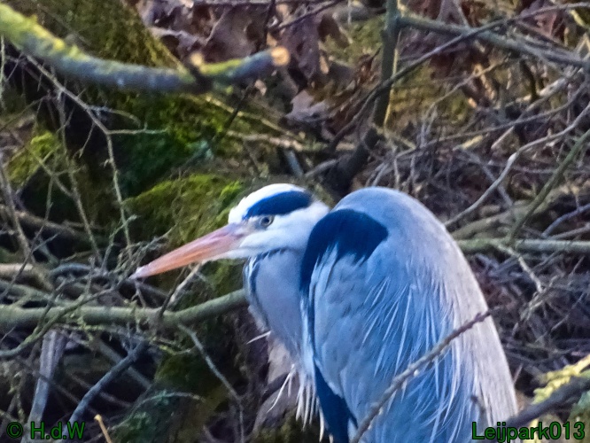 25 &amp; 26 &amp; 27 &amp;28 januari 2024