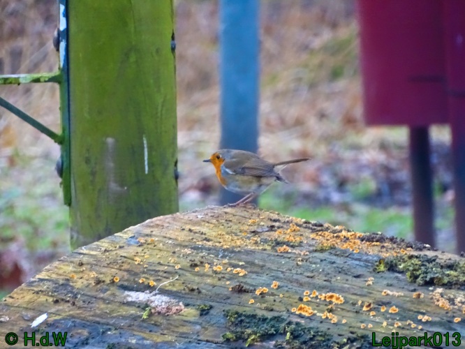 25 &amp; 26 &amp; 27 &amp;28 januari 2024