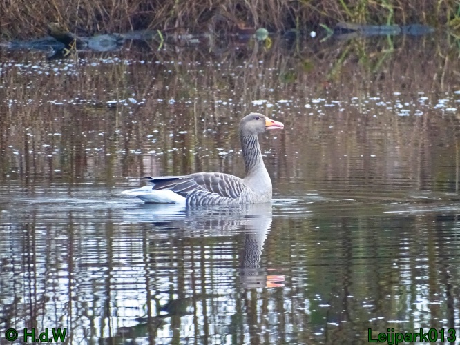 25 &amp; 26 &amp; 27 &amp;28 januari 2024