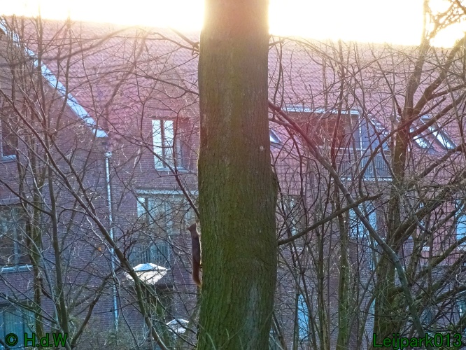 25 &amp; 26 &amp; 27 &amp;28 januari 2024