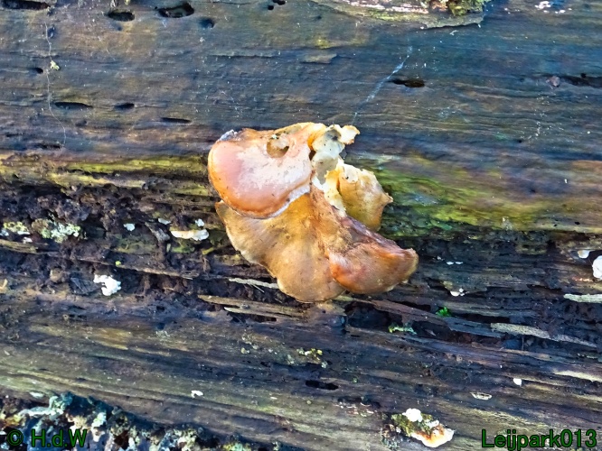 25 &amp; 26 &amp; 27 &amp;28 januari 2024