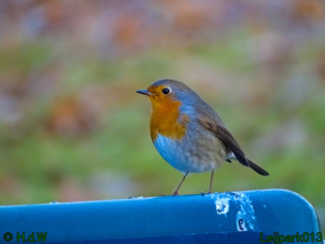 25 &amp; 26 &amp; 27 &amp;28 januari 2024