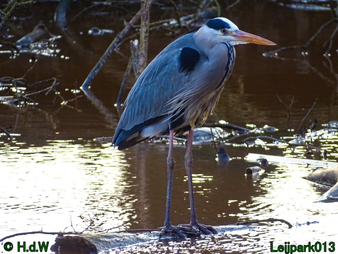 25 &amp; 26 &amp; 27 &amp;28 januari 2024