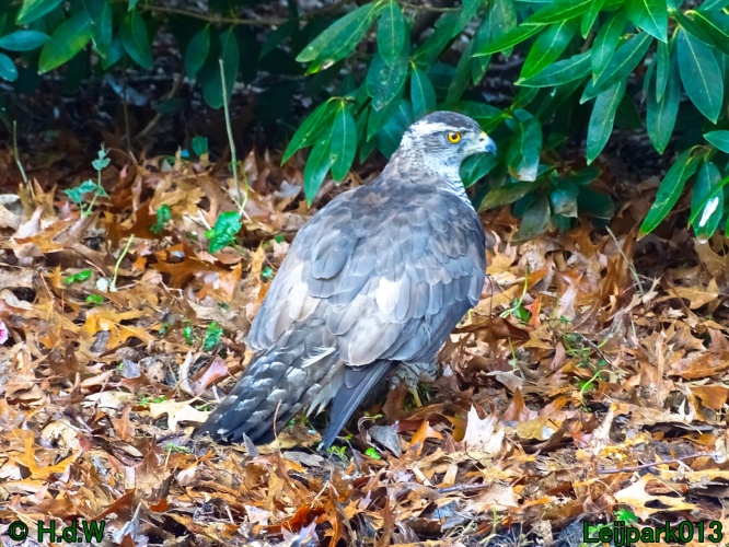 25 &amp; 26 &amp; 27 &amp;28 januari 2024