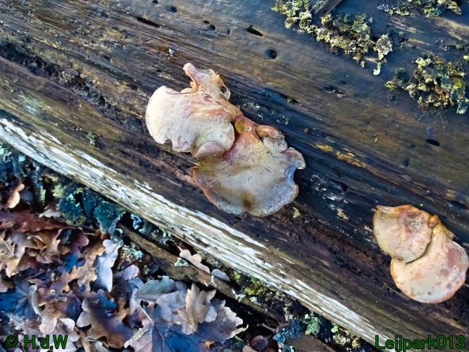 25 &amp; 26 &amp; 27 &amp;28 januari 2024