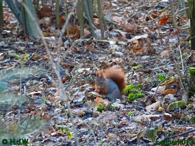 25 &amp; 26 &amp; 27 &amp;28 januari 2024