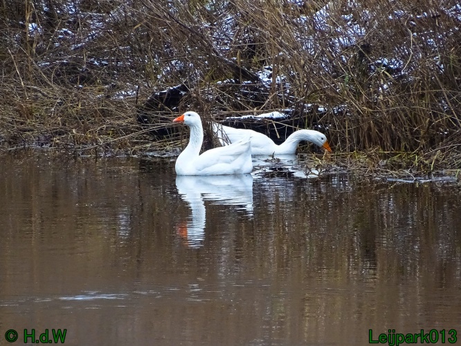 25 &amp; 26 &amp; 27 &amp;28 januari 2024