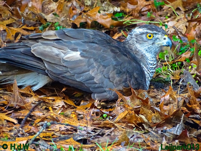 25 &amp; 26 &amp; 27 &amp;28 januari 2024