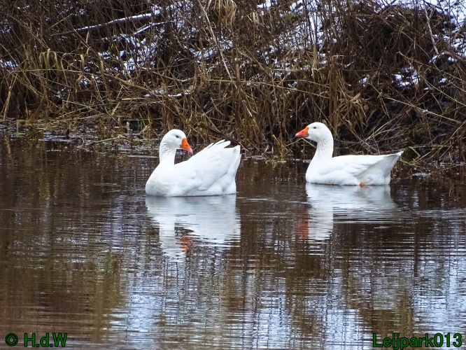 25 &amp; 26 &amp; 27 &amp;28 januari 2024