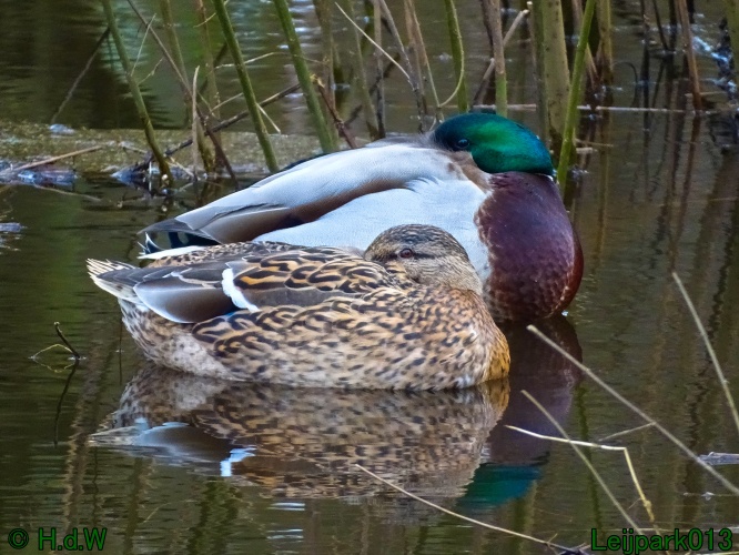 25 &amp; 26 &amp; 27 &amp;28 januari 2024