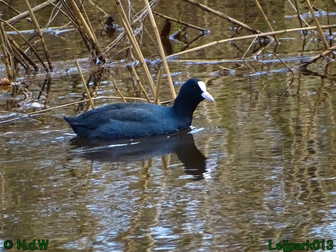 25 &amp; 26 &amp; 27 &amp;28 januari 2024