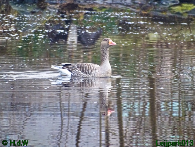 25 &amp; 26 &amp; 27 &amp;28 januari 2024