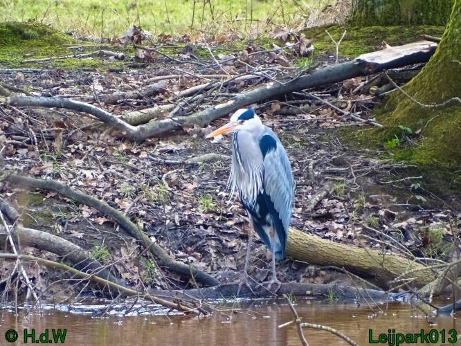 25 &amp; 26 &amp; 27 &amp;28 januari 2024