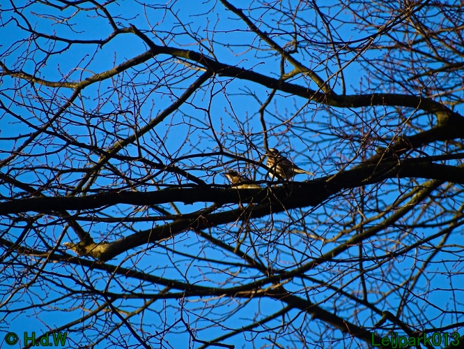 25 &amp; 26 &amp; 27 &amp;28 januari 2024