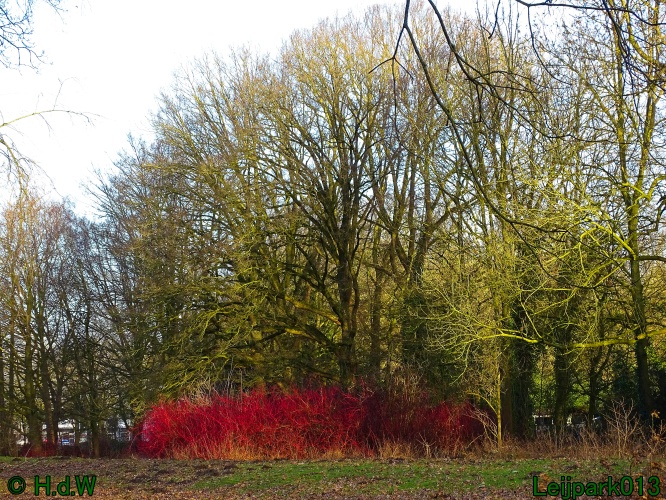 25 &amp; 26 &amp; 27 &amp;28 januari 2024