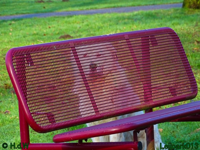 Beestenboel 27 februari 2024