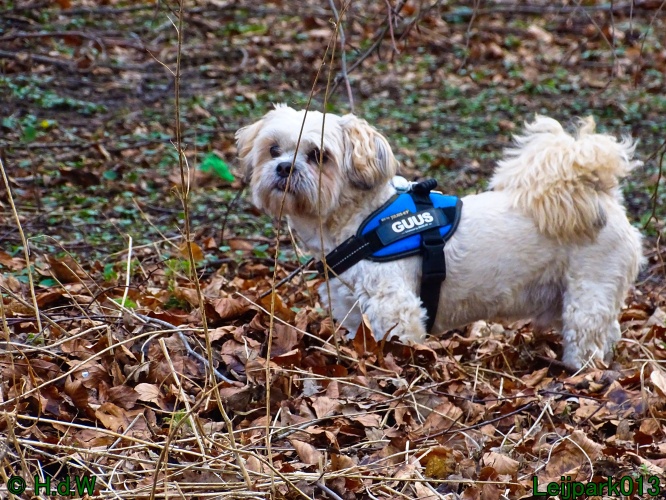 Beestenboel 27 februari 2024