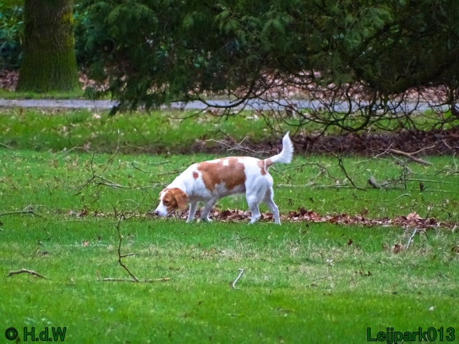 Beestenboel 27 februari 2024