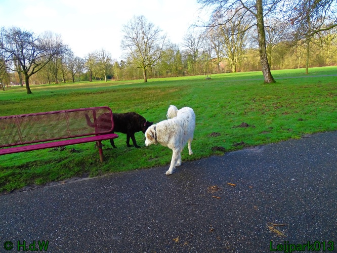 Beestenboel 27 februari 2024