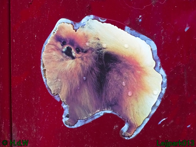 Beestenboel 27 februari 2024