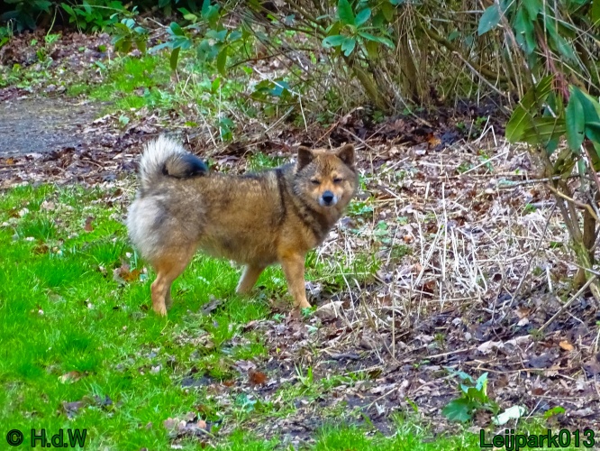 Beestenboel 27 februari 2024