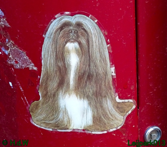 Beestenboel 27 februari 2024