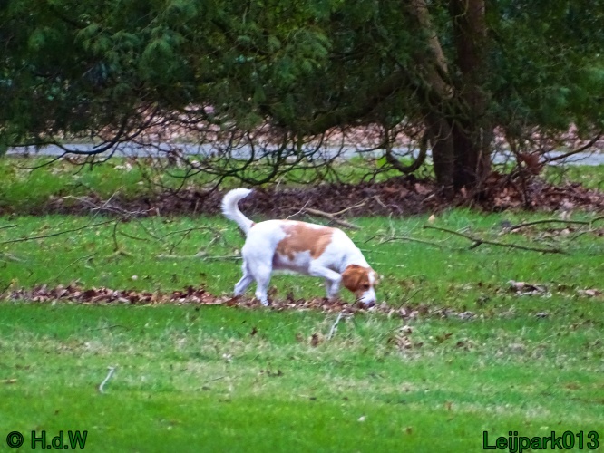 Beestenboel 27 februari 2024