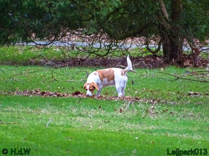 Beestenboel 27 februari 2024