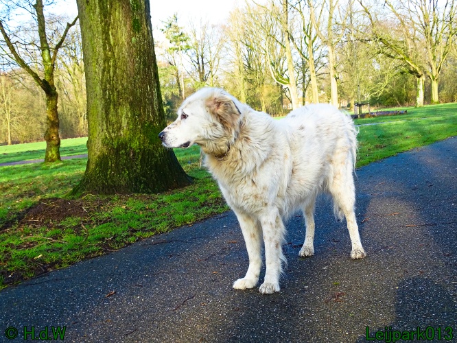 Beestenboel 27 februari 2024